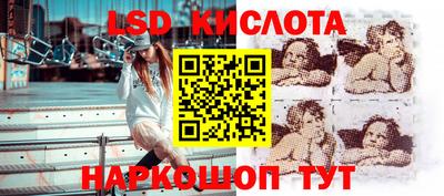 крисы Моздок
