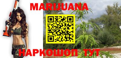 крисы Моздок