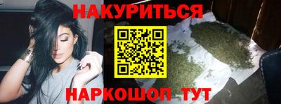 крисы Моздок
