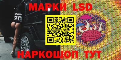 мдпв Можга