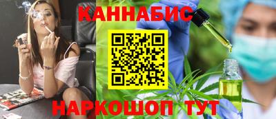 крисы Моздок