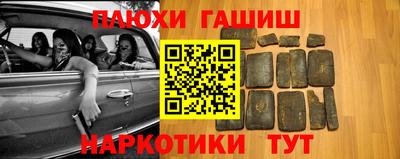 крисы Моздок