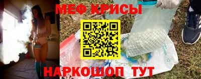 крисы Моздок