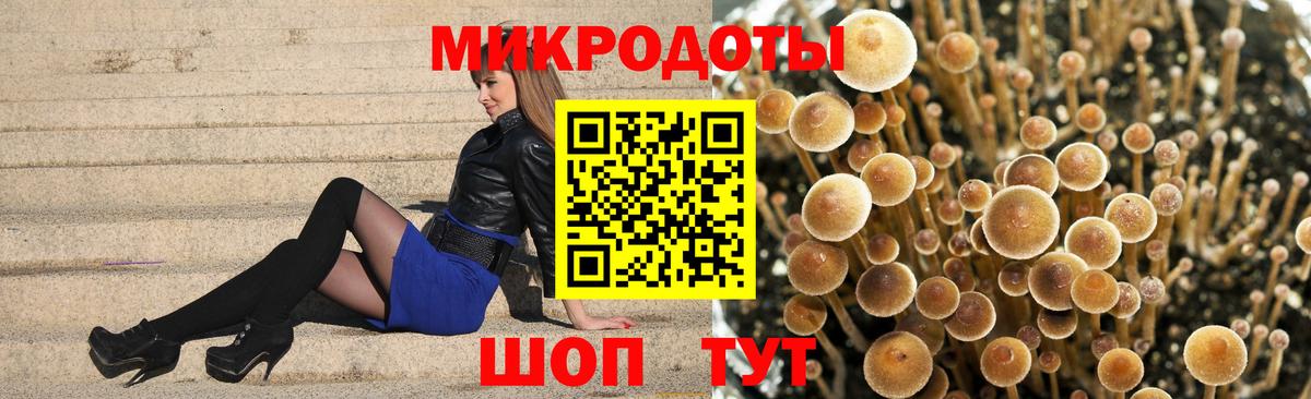 Галлюциногенные грибы GOLDEN TEACHER Юрга