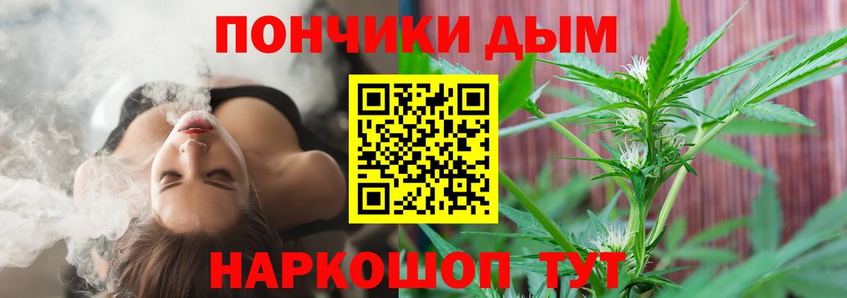 Бошки марихуана MAZAR  Вход с VPN  Юрга  Марихуана план  Конопля OG Kush 